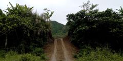 4x4 Track