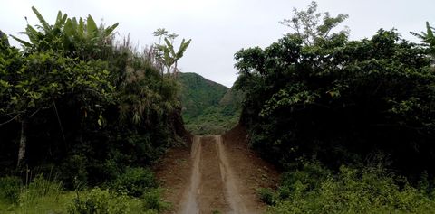 4x4 Track