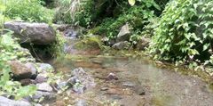 Stream